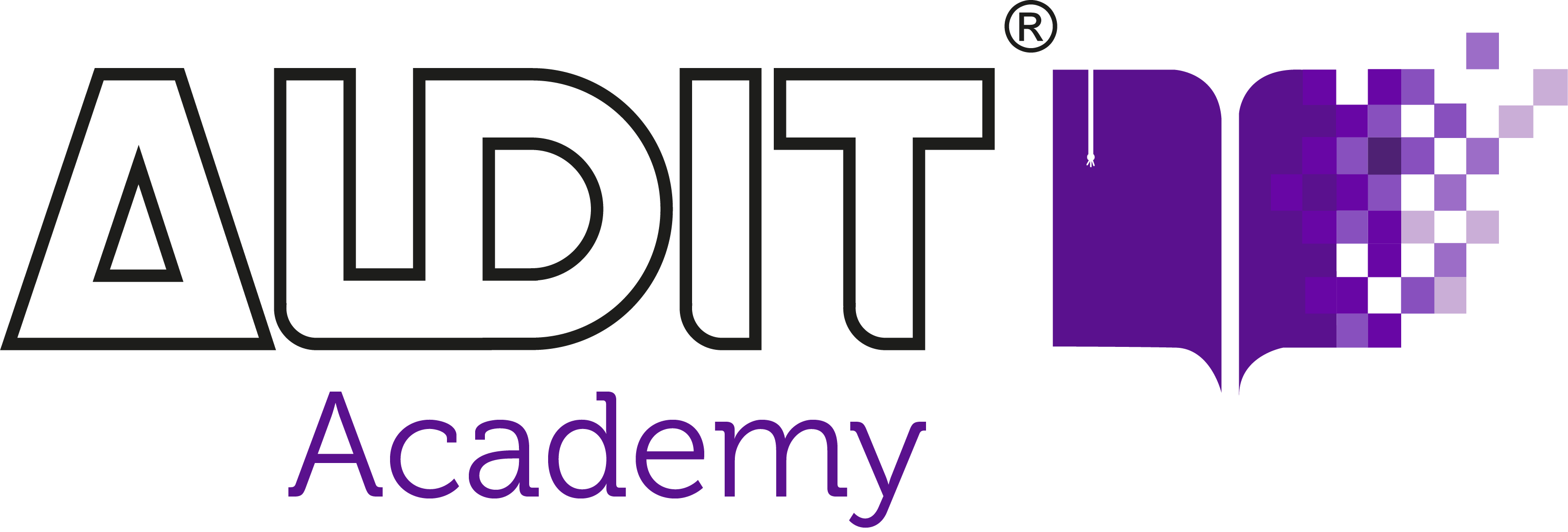 Logotipo de AUDITAcademy | Cursos & Treinamentos